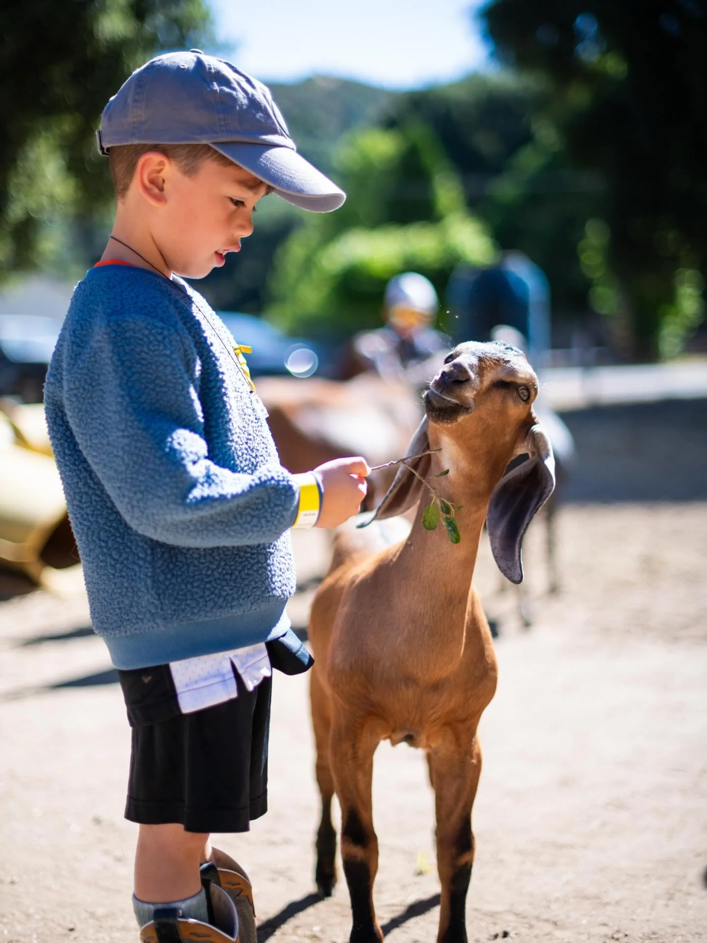 Big thanks to KSBY @ksbynews for the feature on our new website and trail map! 🤠🧡🙌

&ldquo;FARMstead ED has unveiled its new San Luis Obispo County Farm Trail website, giving residents and visitors an easy way to discover local farms, ranches, and