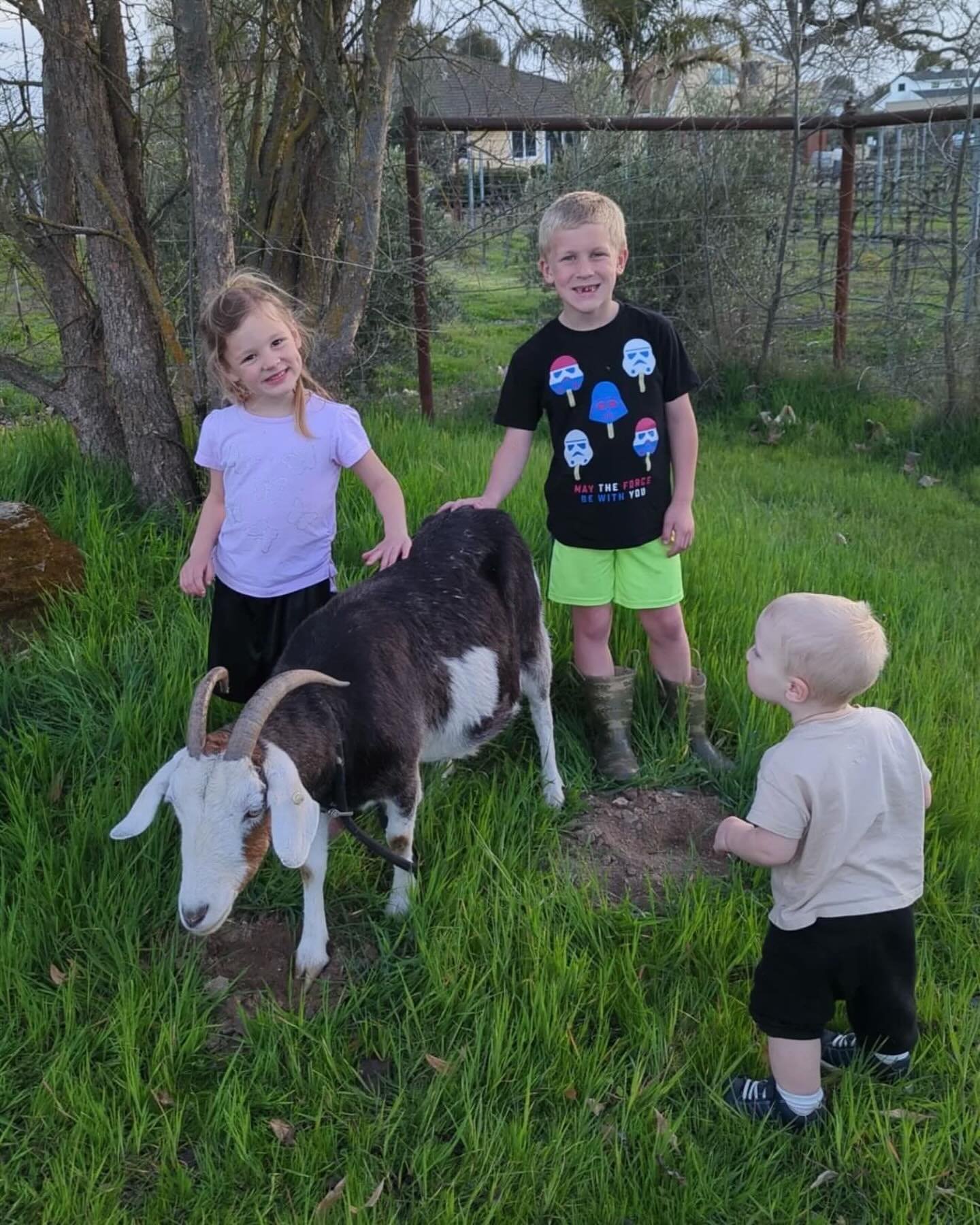 Shout out to our partner, Camp Funny Farm @camp_funnyfarm! A half-day summer day camp for kids full of fun, learning skills, and connecting with nature in beautiful Paso Robles.

Through hands-on learning, your child will have fun and build confidenc