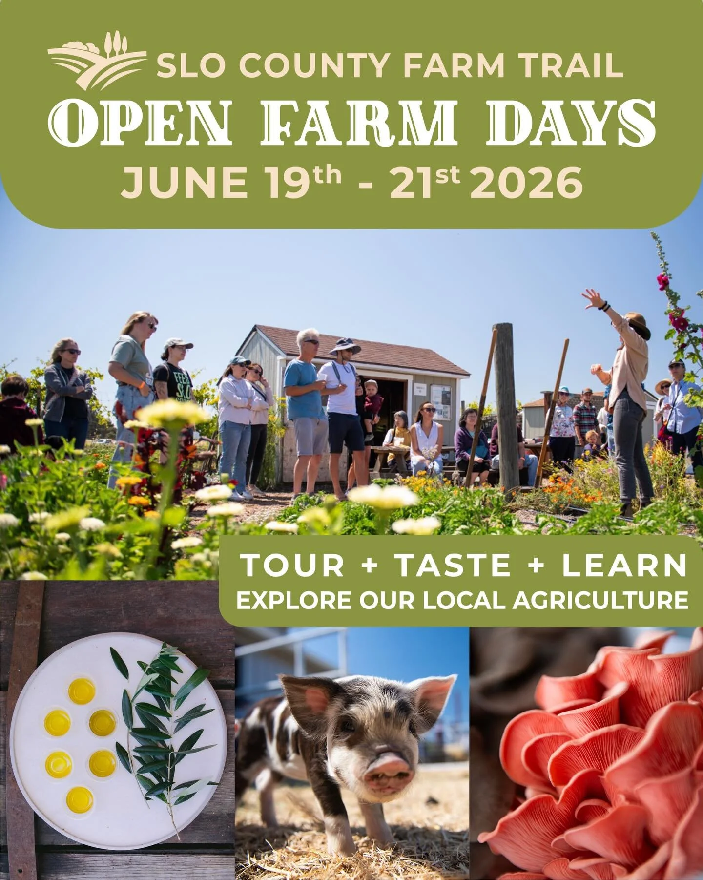 Join us for the 6th Annual Open Farm Days Weekend in June - Tickets are FREE this year! Hit the link in bio to register for your FREE tickets! 🤠🧡🙌

Open Farm Days Weekend | June 19th-21st

TOUR + TASTE + LEARN and explore our local agriculture. Jo