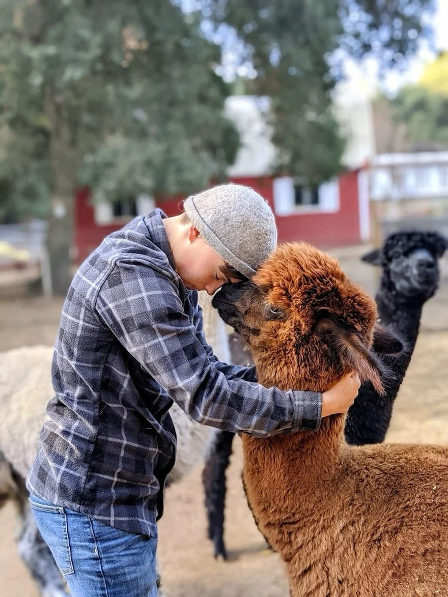 The cuteness is real at Giving Tree Family Farm @givingtreefamilyfarm in Santa Margarita and we are so grateful for their partnership on the SLO County Farm Trail. 🤠🧡🙌

A word from the farmers:
&ldquo;In 2008, my husband and I, along with our daug