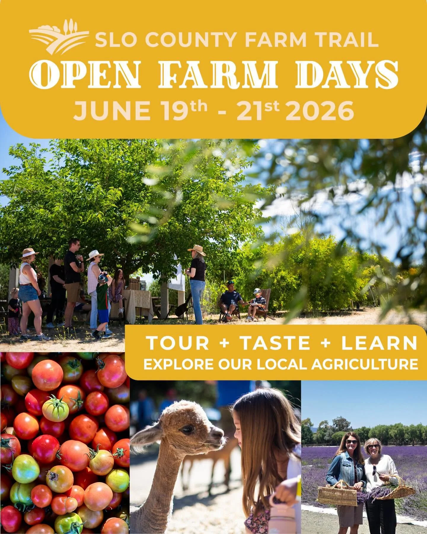 Join us for the 6th Annual Open Farm Days Weekend in June - Tickets are FREE this year! Hit the link in bio to register for your FREE tickets!🎟️🎟️

Open Farm Days Weekend
June 19th-21st
TOUR + TASTE + LEARN and explore our local agriculture. Join u