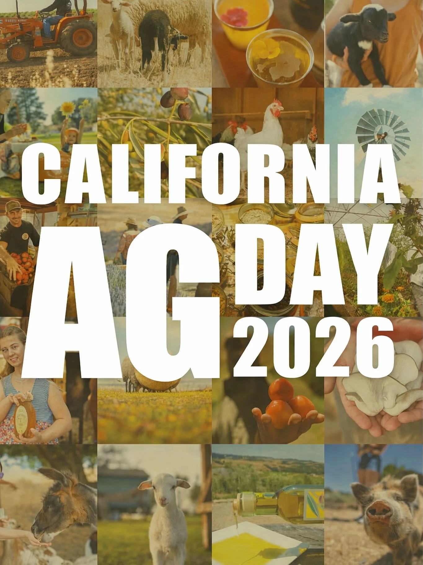 California Ag Day is a celebration of the state&rsquo;s rich agricultural heritage and the hardworking farmers who help feed the nation. As the nation&rsquo;s top agricultural producer, California leads in crops like almonds, avocados, wine grapes, a