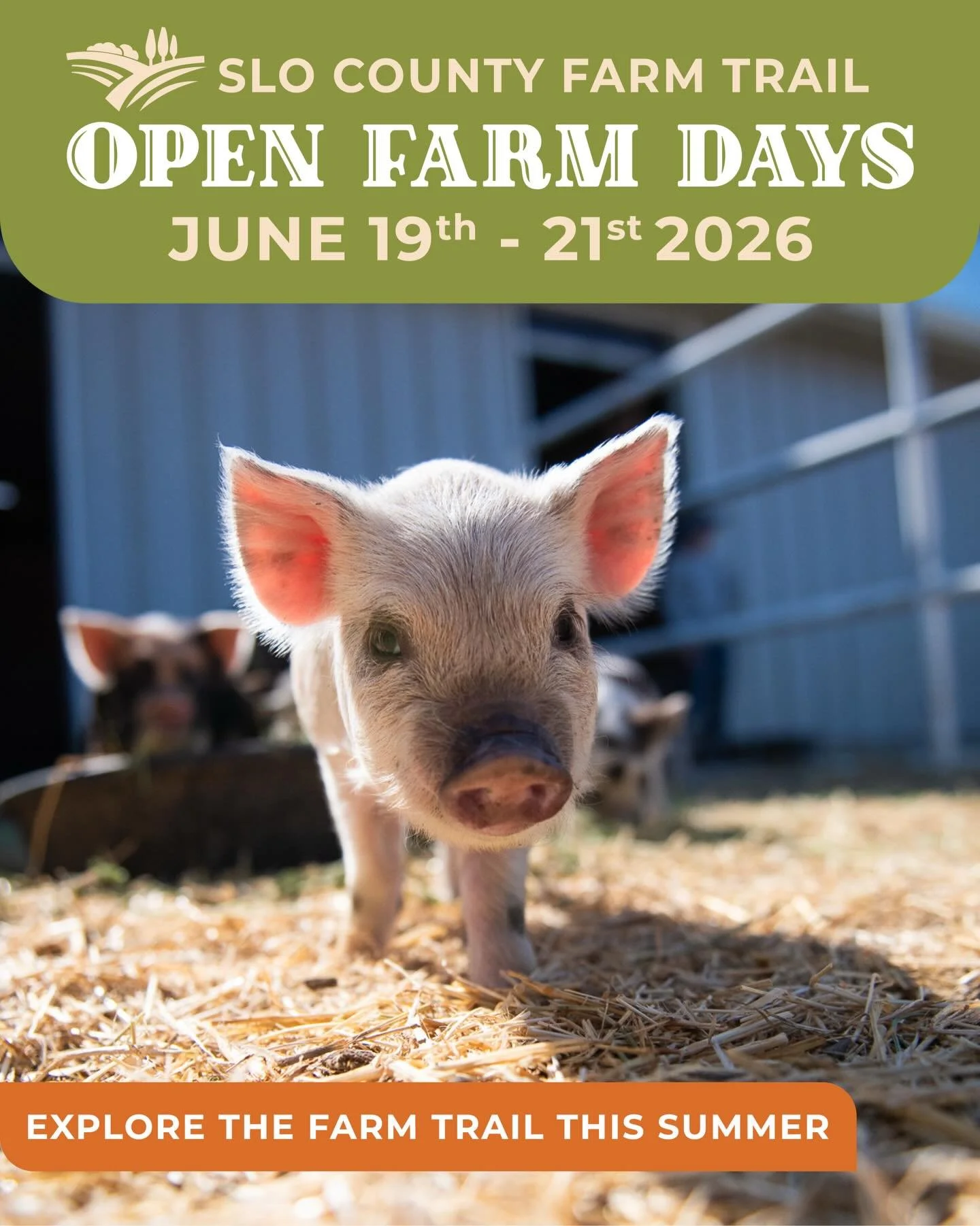 Explore the Farm Trail this summer at our 6th annual Open Farm Days Weekend - Check out our interactive Trail Map to plan your trip - link in bio!

Open Farm Days Weekend
June 19th-21st
Tickets are FREE - registration is easy!

TOUR + TASTE + LEARN a