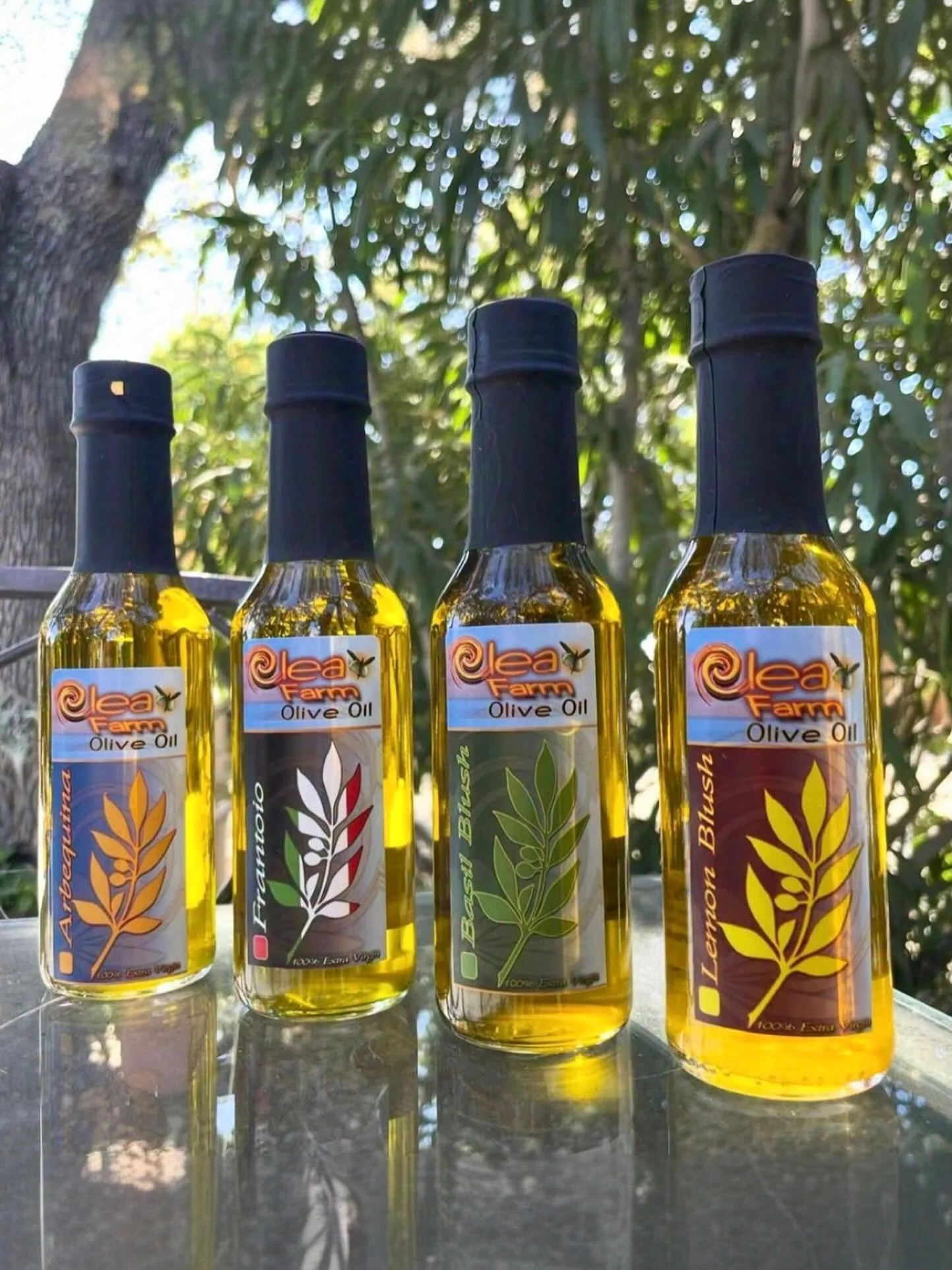 A very special sponsor shoutout to our friends at Olea Farm @oleafarmoliveoil in Templeton. 
🤠🧡🙌

Olea Farm is the perfect embodiment of the European ideals and traditions that are a quintessential part of the olive oil culture. A visit to their t