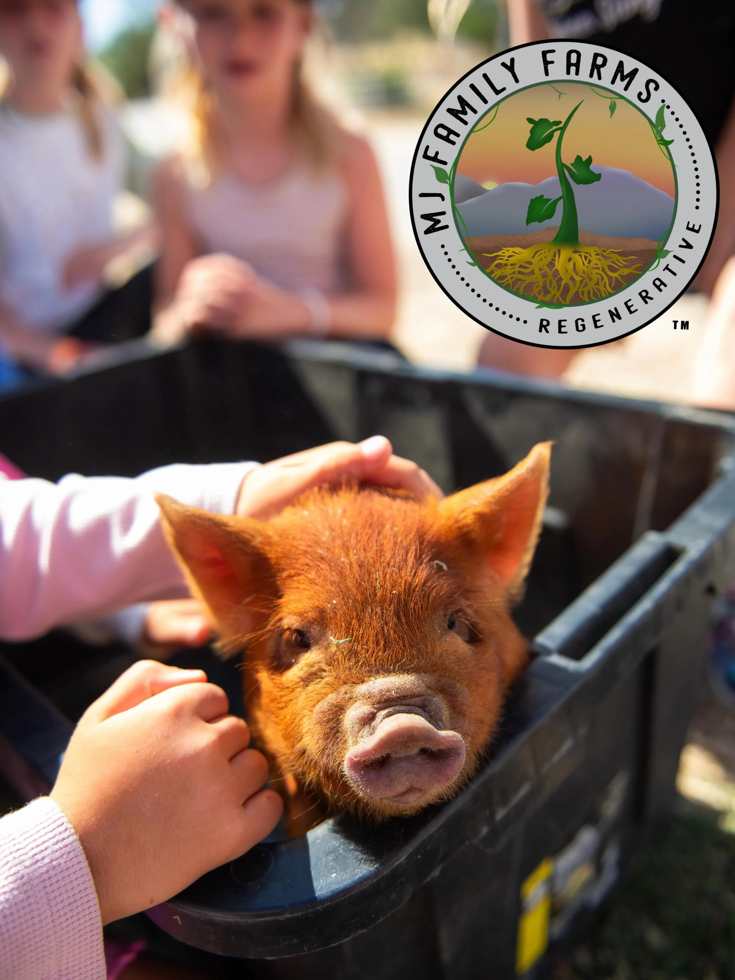 Sponsor shoutout to our magnificent friends at MJ Family Farms @mjfamilyfarms in Creston. Thank EWE for supporting the Farm Trail. 🤠🧡🙌

MJ Family Farms aims to use traditional farming methods to build an ecosystem that feeds our community great fo