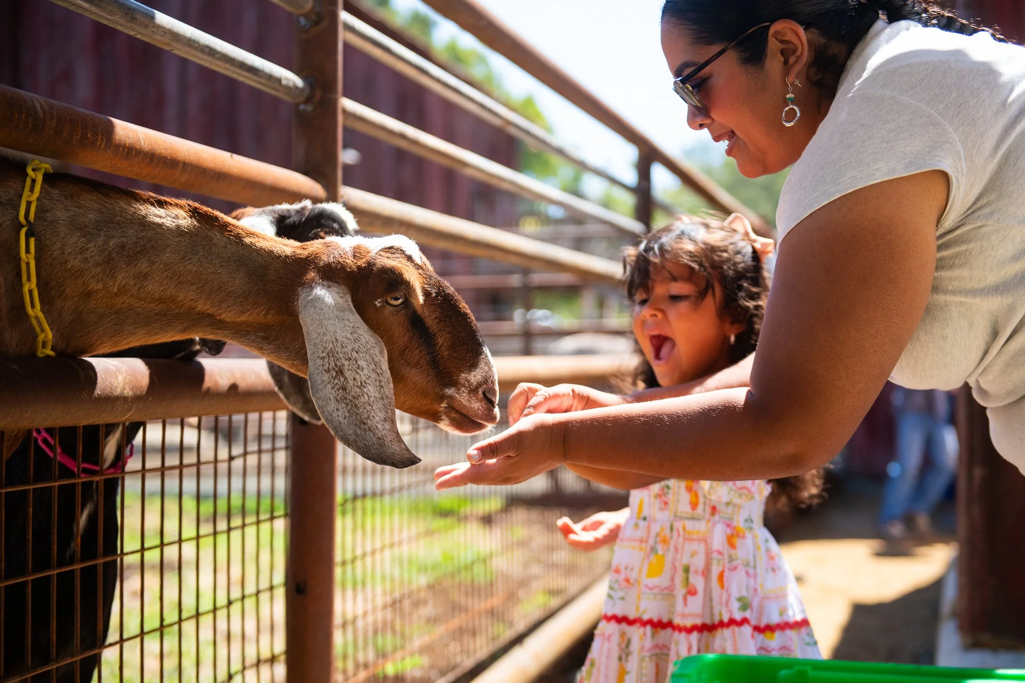 Woman and child feeding a goat