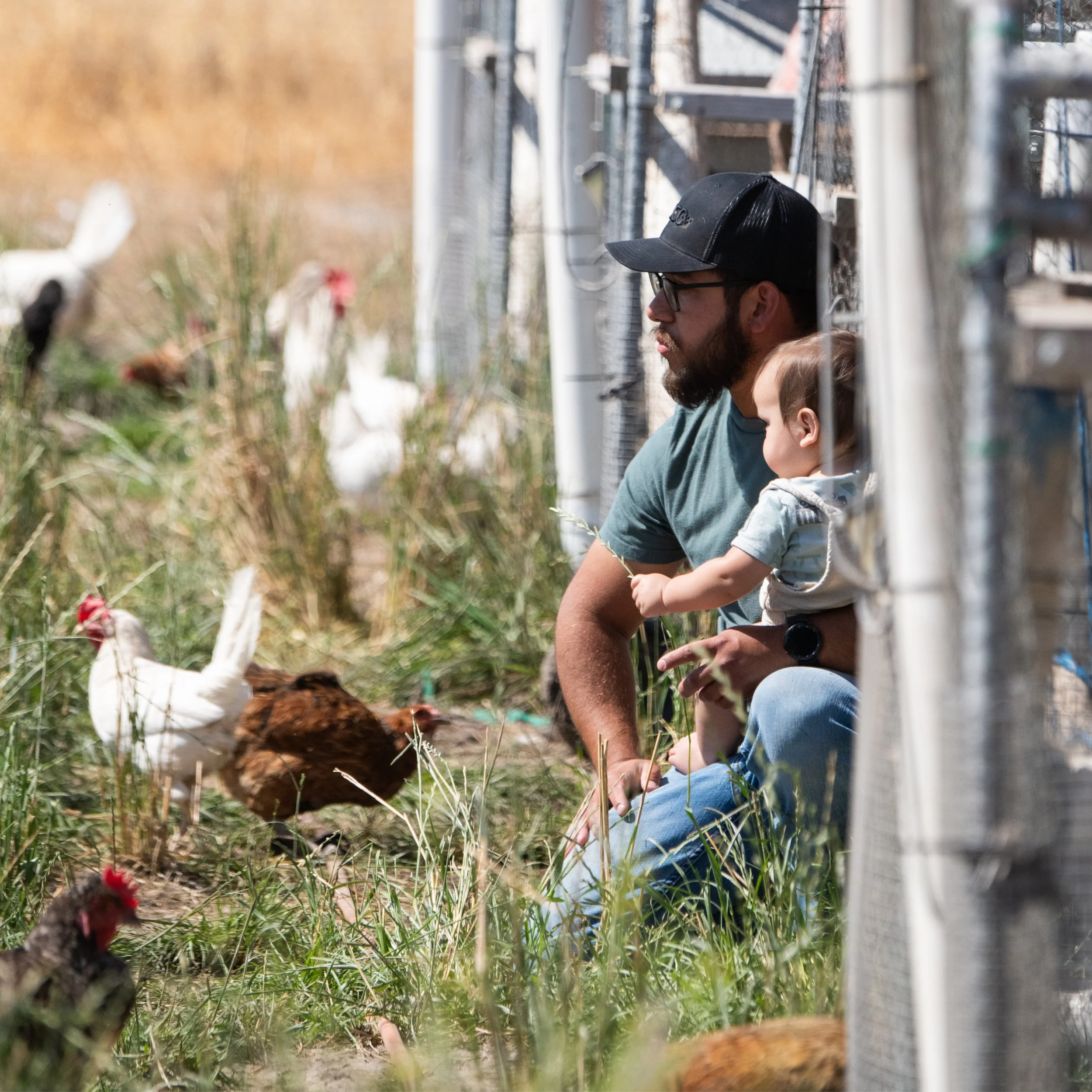 MJ FAMILY FARM TOUR