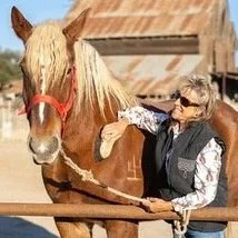 Harris Stage Lines horse