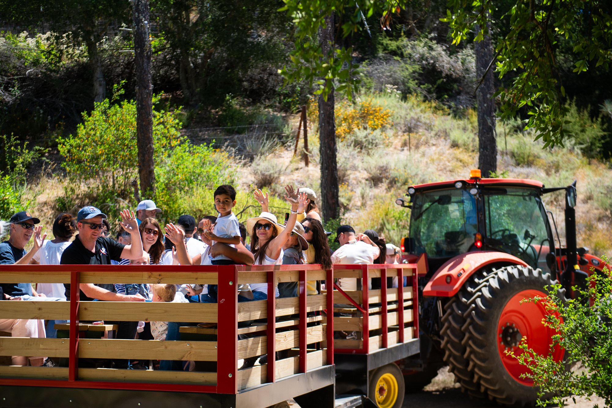 A group of people, including a boy, riding on a tractor with a trailer through a wooded area during the day. Some people are waving and smiling. The surroundings are green with trees and bushes.