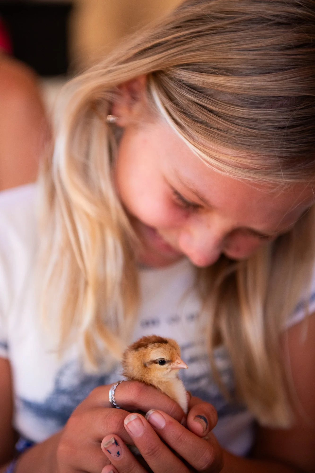 Child with baby chick