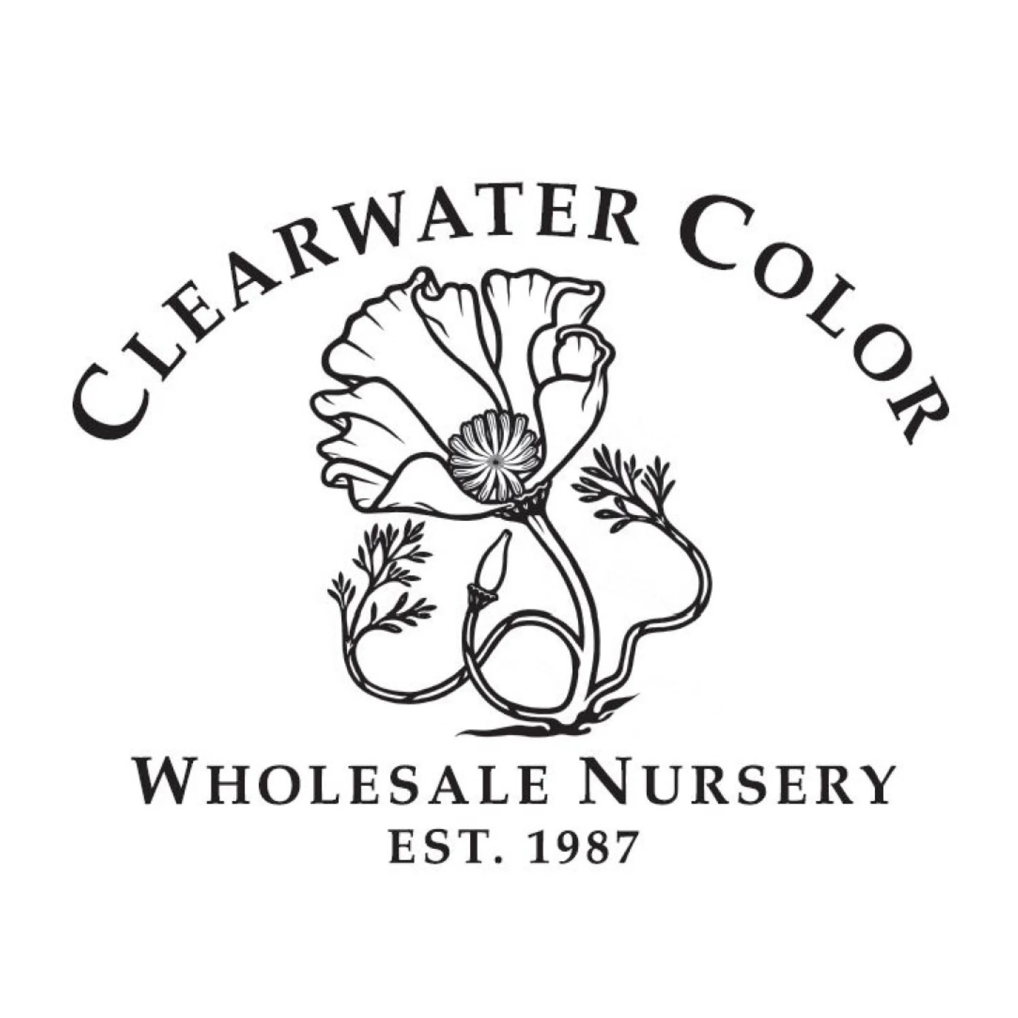 Clearwater Color Nursery logo