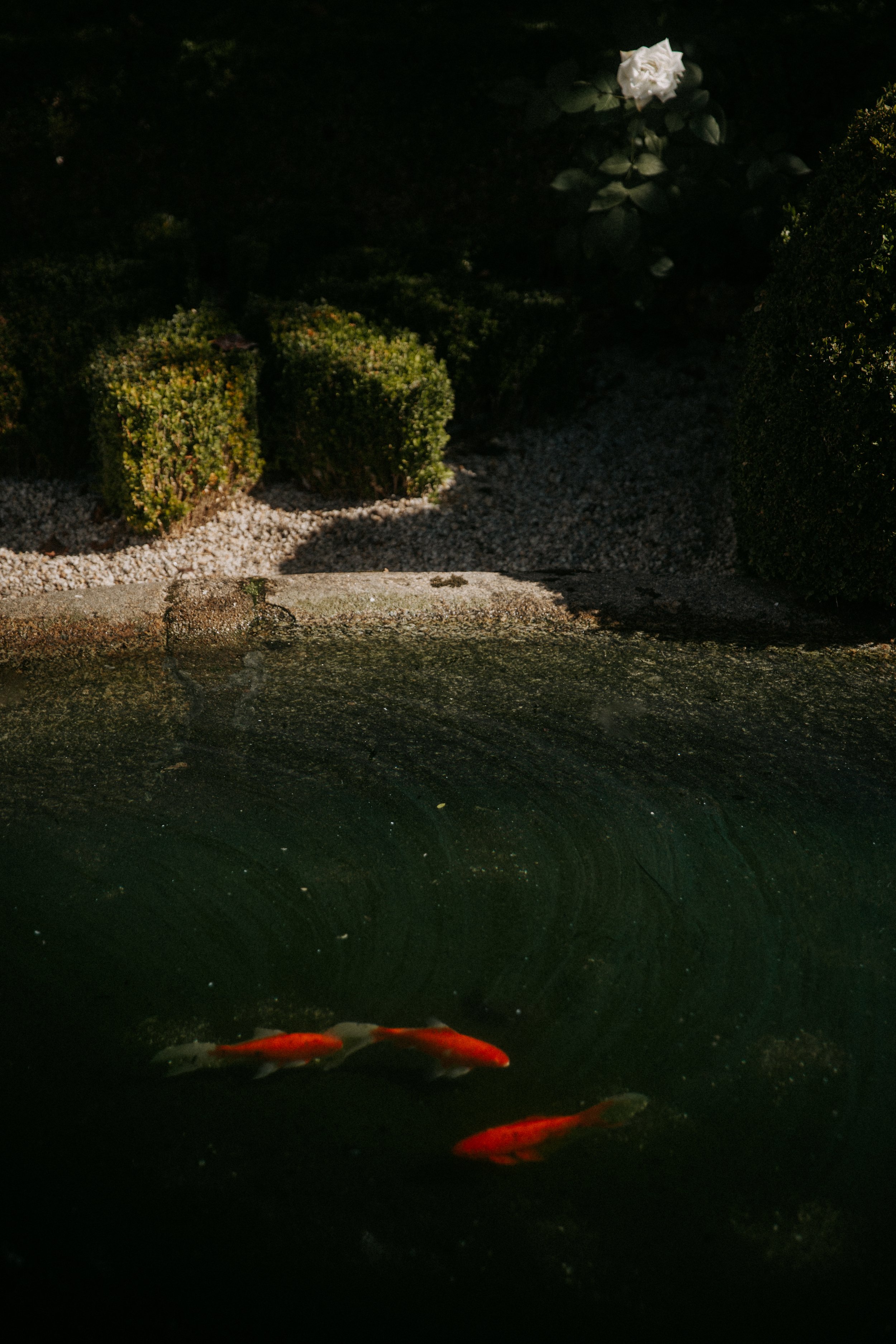 LENB-10.26-Portugal-Low-Res-56.jpg