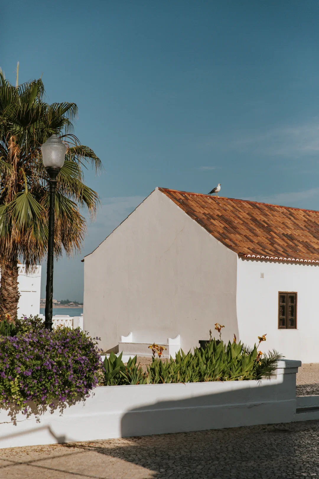 A white building with a red-tiled roof, a seagull on top, surrounded by green plants and purple flowers, next to a palm tree and a streetlamp, under a clear blue sky. Travel Photographer Lenneke Benders in Portugal.