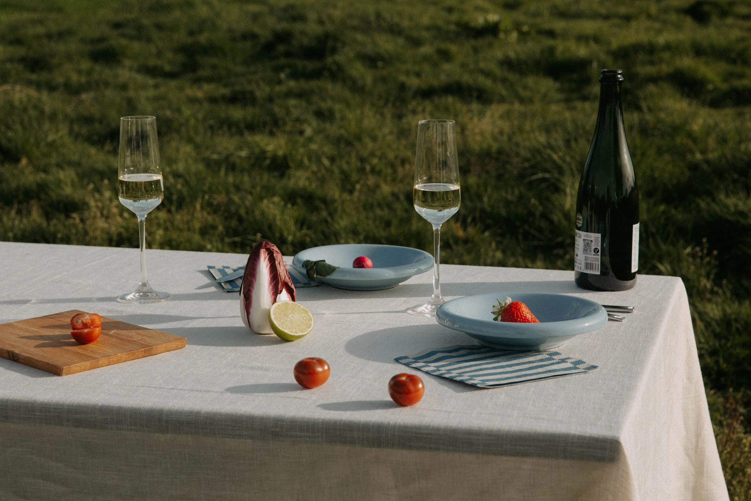 A minimal table setting with colorful blue plates, a wooden cutting board, fruits and veggies and a bottle of wine with two glasses. Shot in a green field with warm sunlight. Lifestyle photograph.