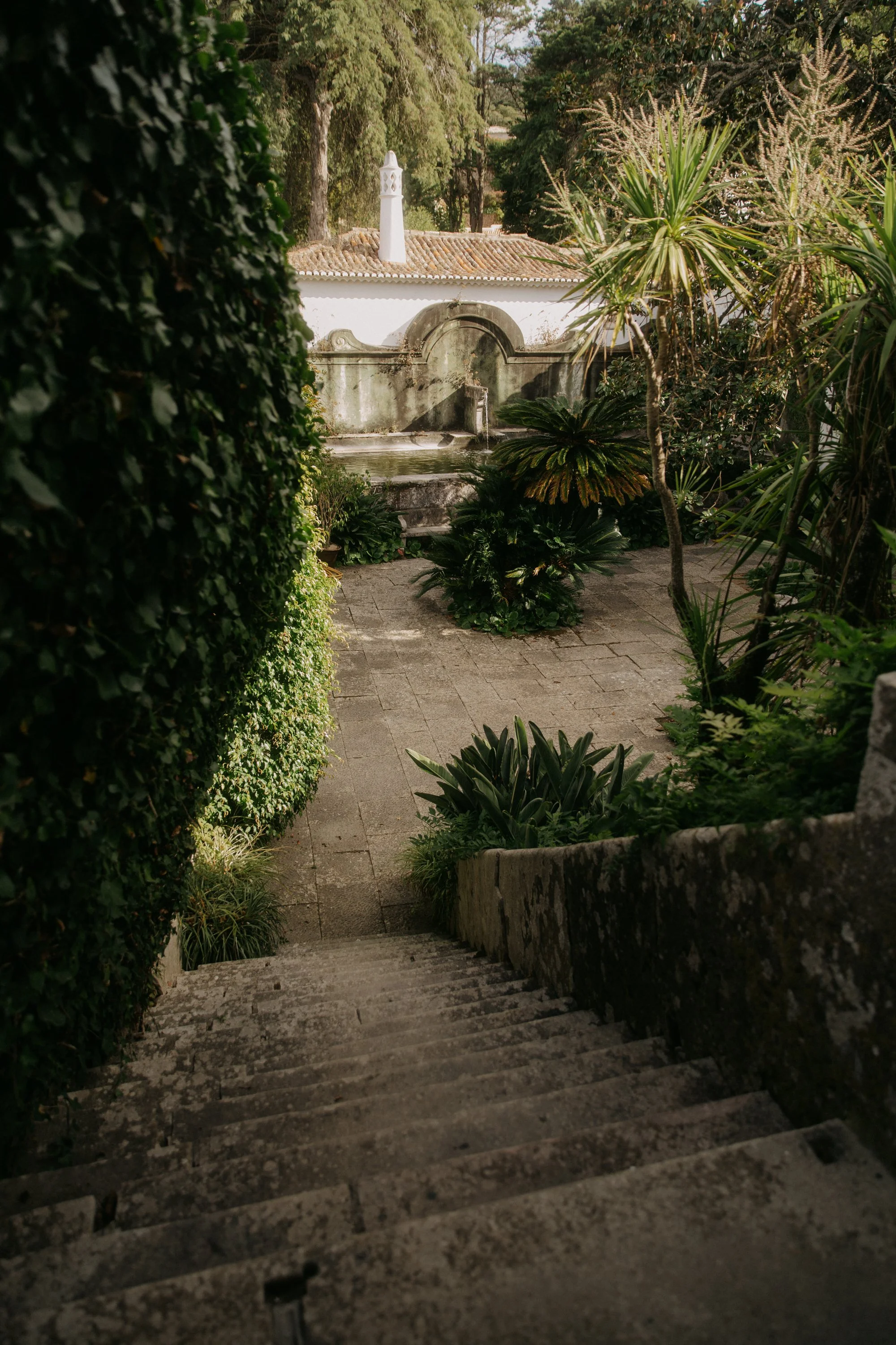 Stone stairs leading down to a garden with a fountain, surrounded by lush green plants and trees. Hotel interior photography by Lenneke Benders in Portugal.