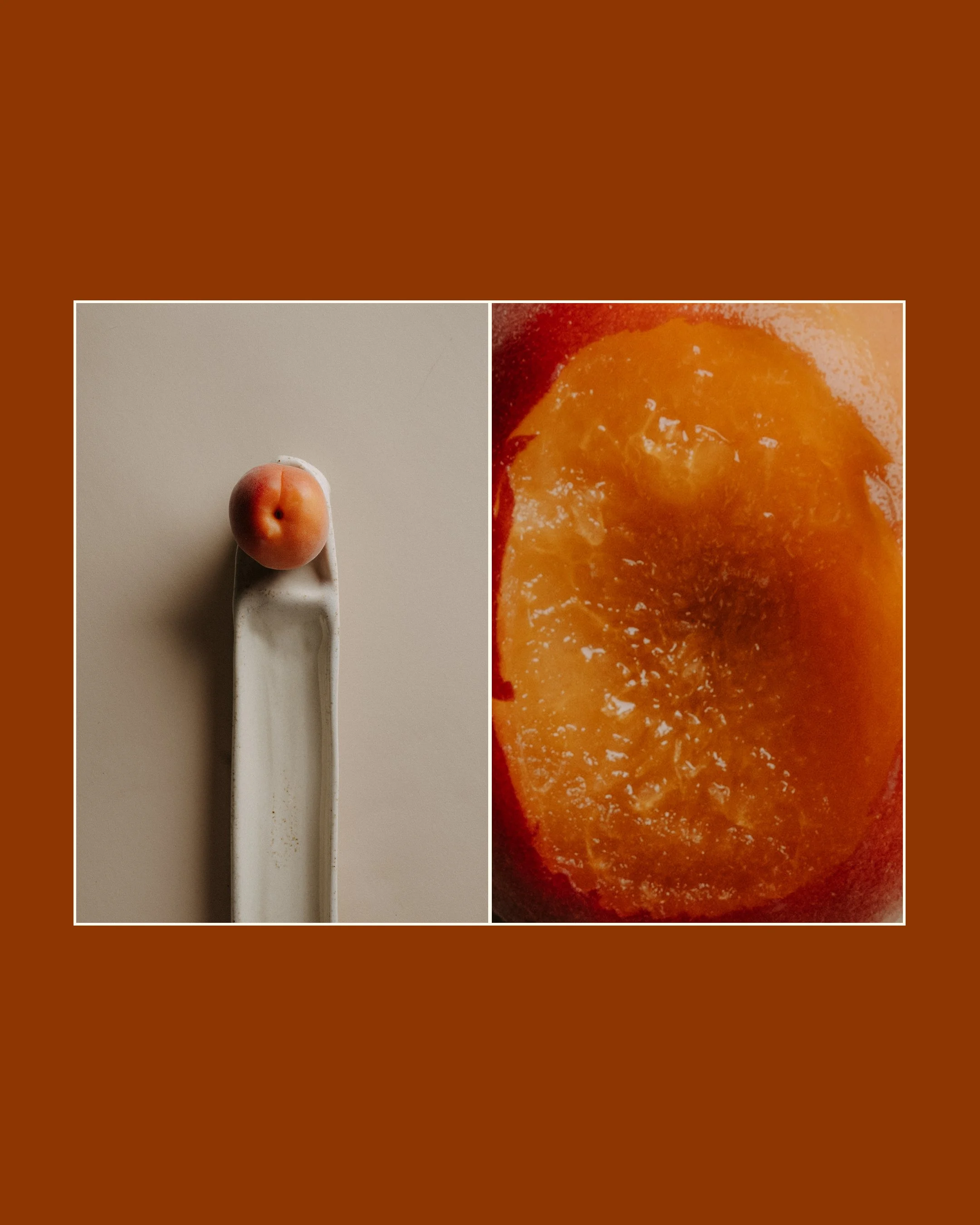 LENB-Food Portraits-Apricot.jpg