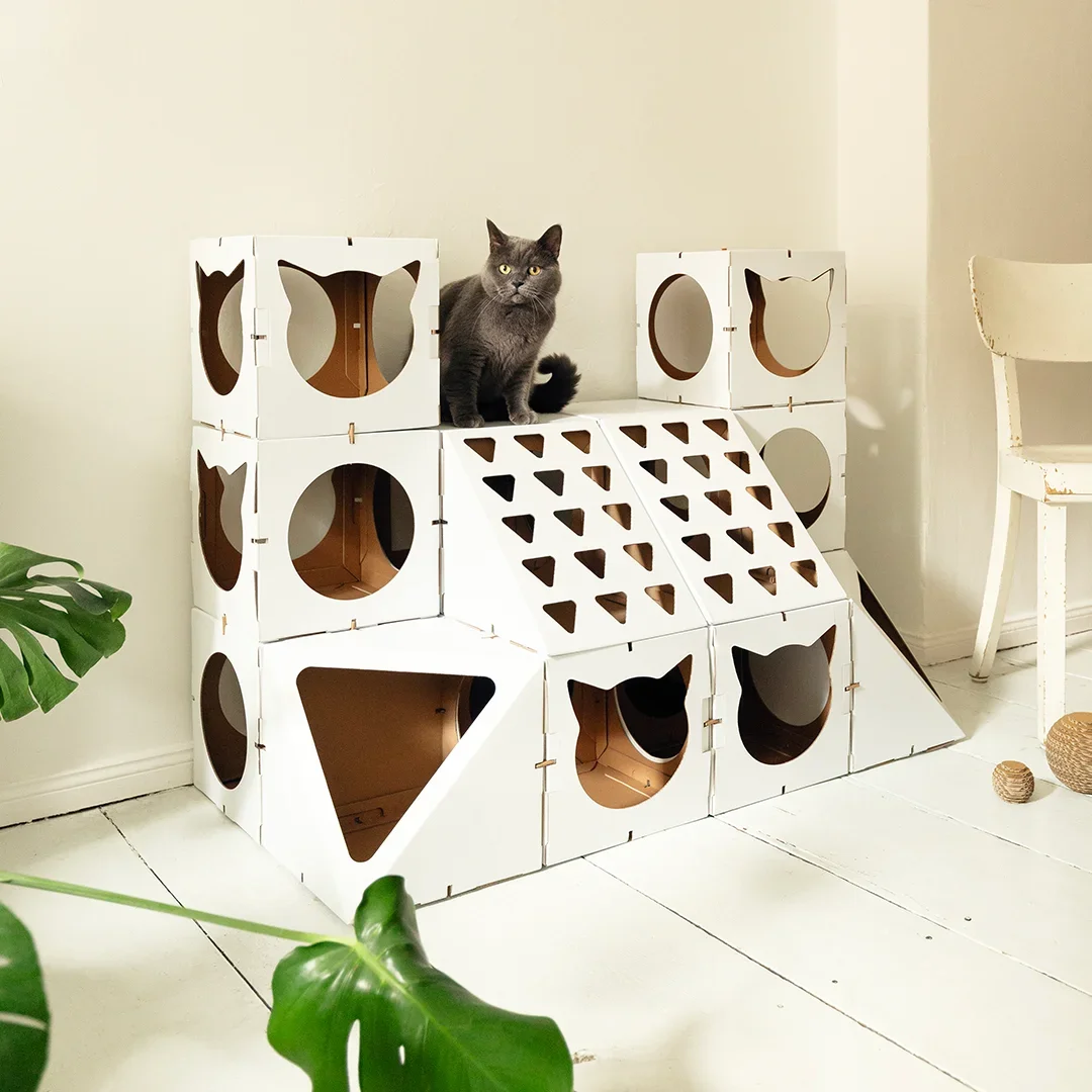 A gray cat sitting on a creative white modular cat tree with various shaped openings, placed against a plain wall in a room. Animal photographer.