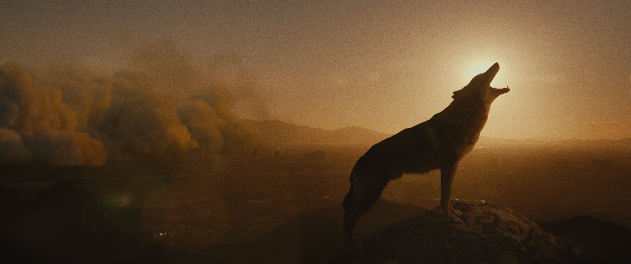 AHSHA 'Play For What Matters'