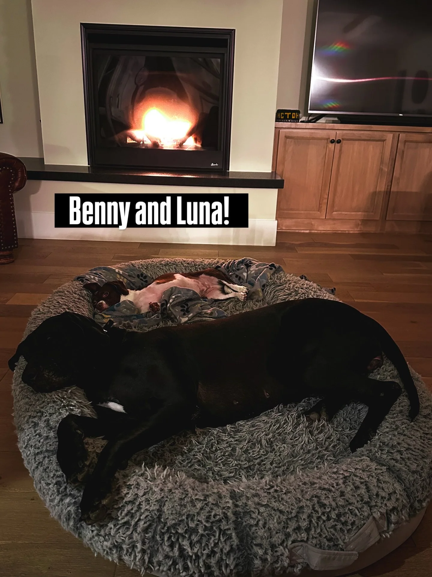 Cozy fires, happy hearts, and a brave little pup whose story is almost here. Stay tuned for Benny the Brave!&rdquo; 🐾🔥📖