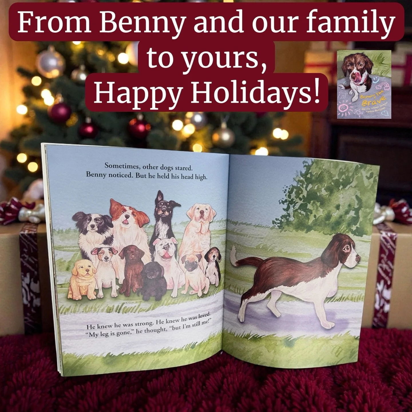✨ From our hearts to yours, thank you. ✨
This holiday season, I&rsquo;m incredibly grateful for everyone who has supported Benny the Brave. Every purchase, message, share, and kind word has meant more than I can express. What began as a very personal
