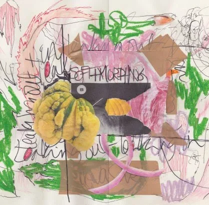 Interview with artist Maia Magoga