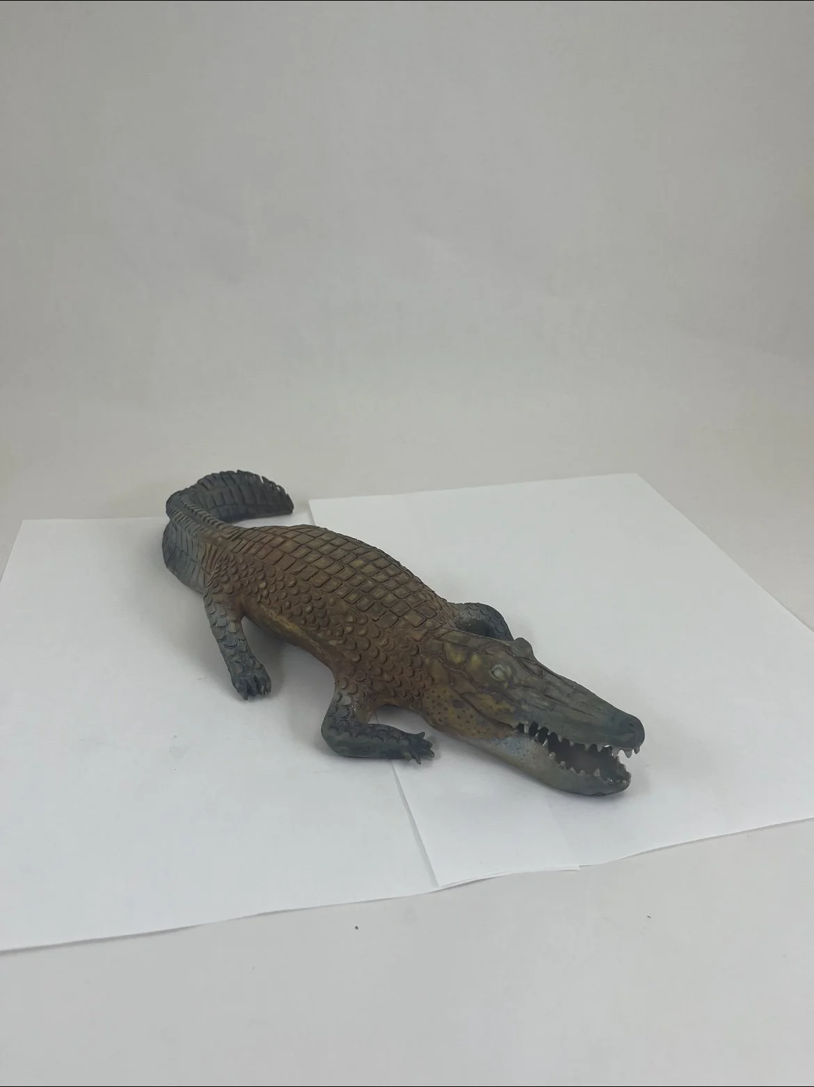 Ceramics Gator 12/1/25