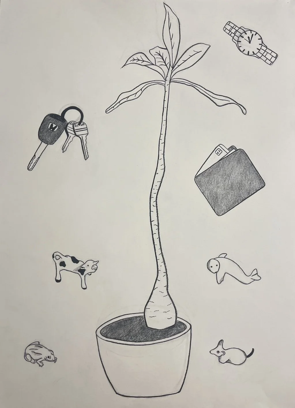 Everyday Objects 11/15/25