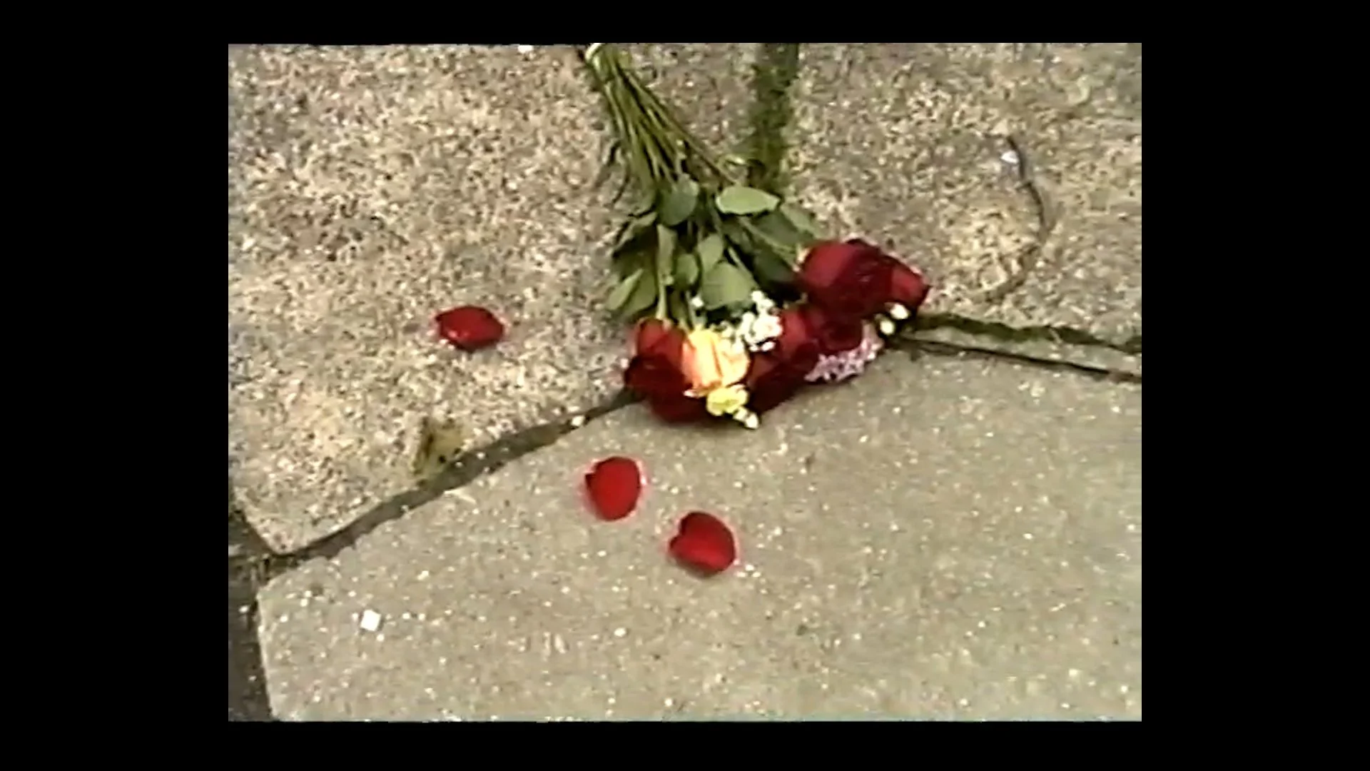 Flowers ground.jpg
