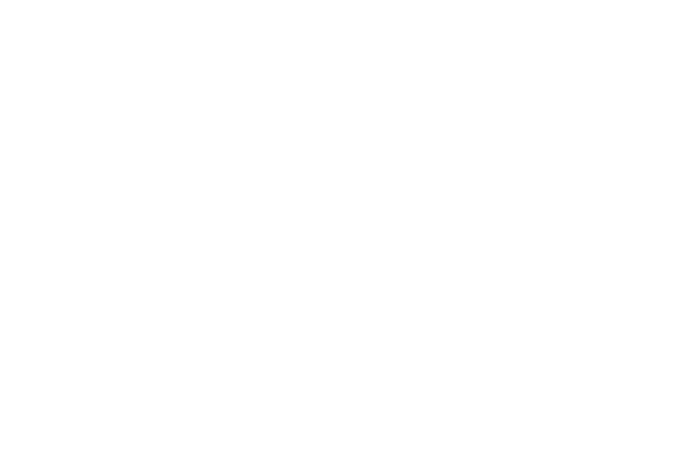 LSE logo