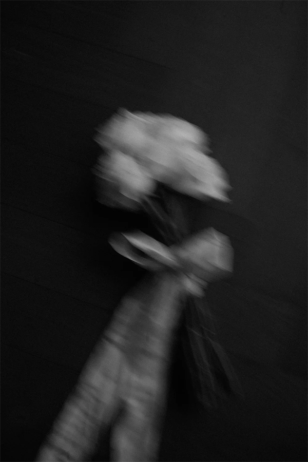 Detail shot of the bouquet. 