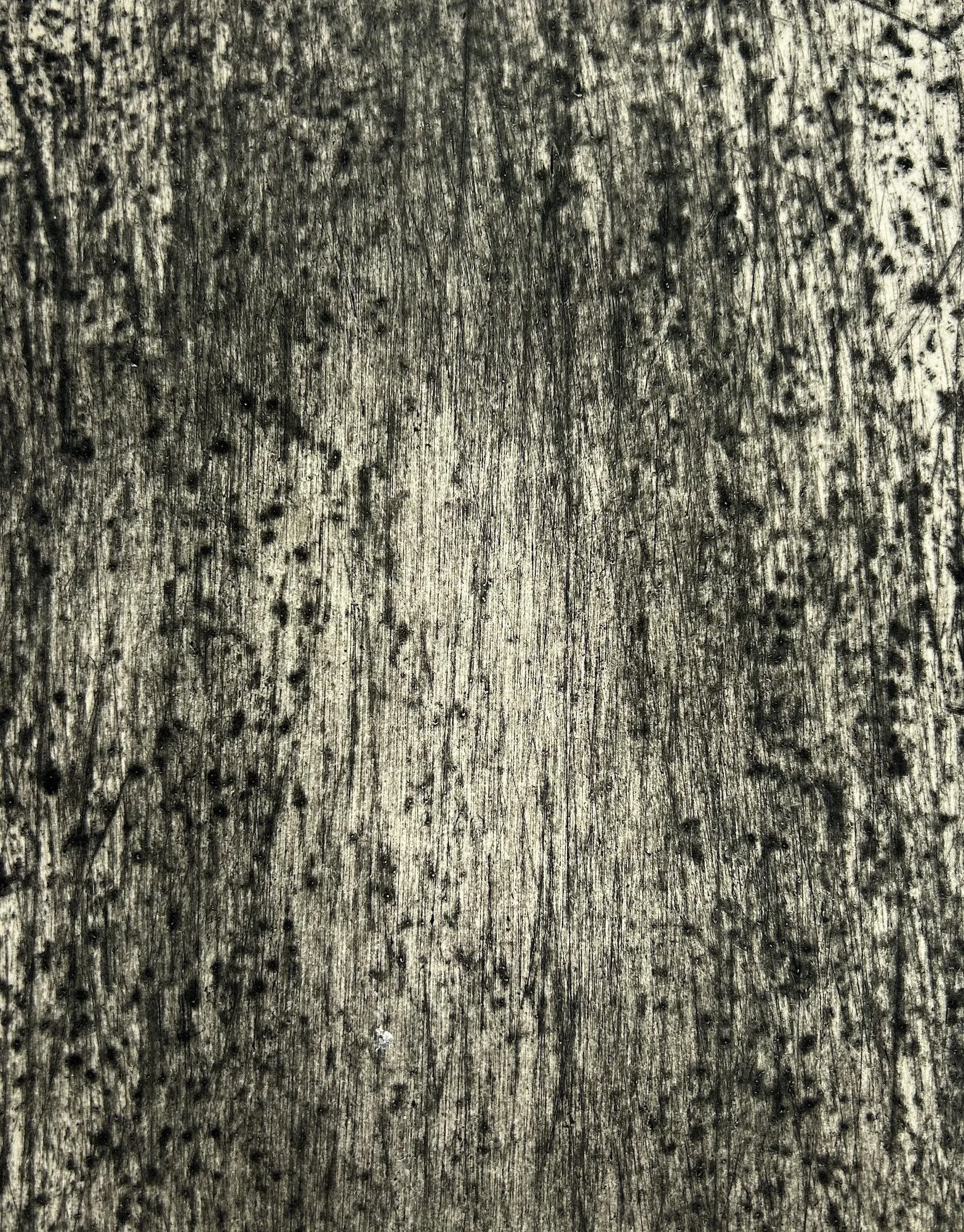 Daniel Brickman "Self Portrait" (2006)
Intaglio Print on paper, 19” x 15”, NFS