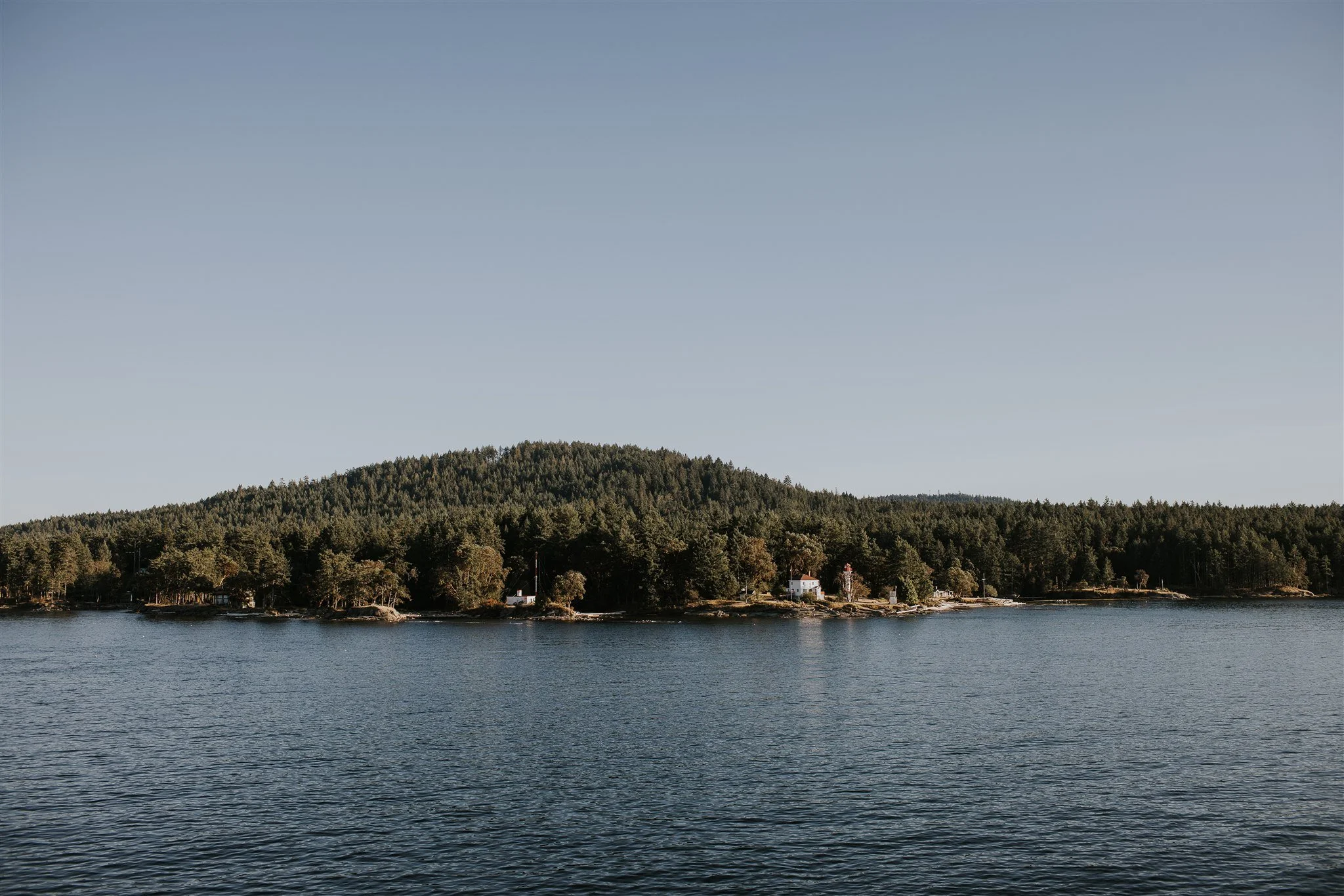 A serene body of water with a forested island in the distance and a clear, pale blue sky above.