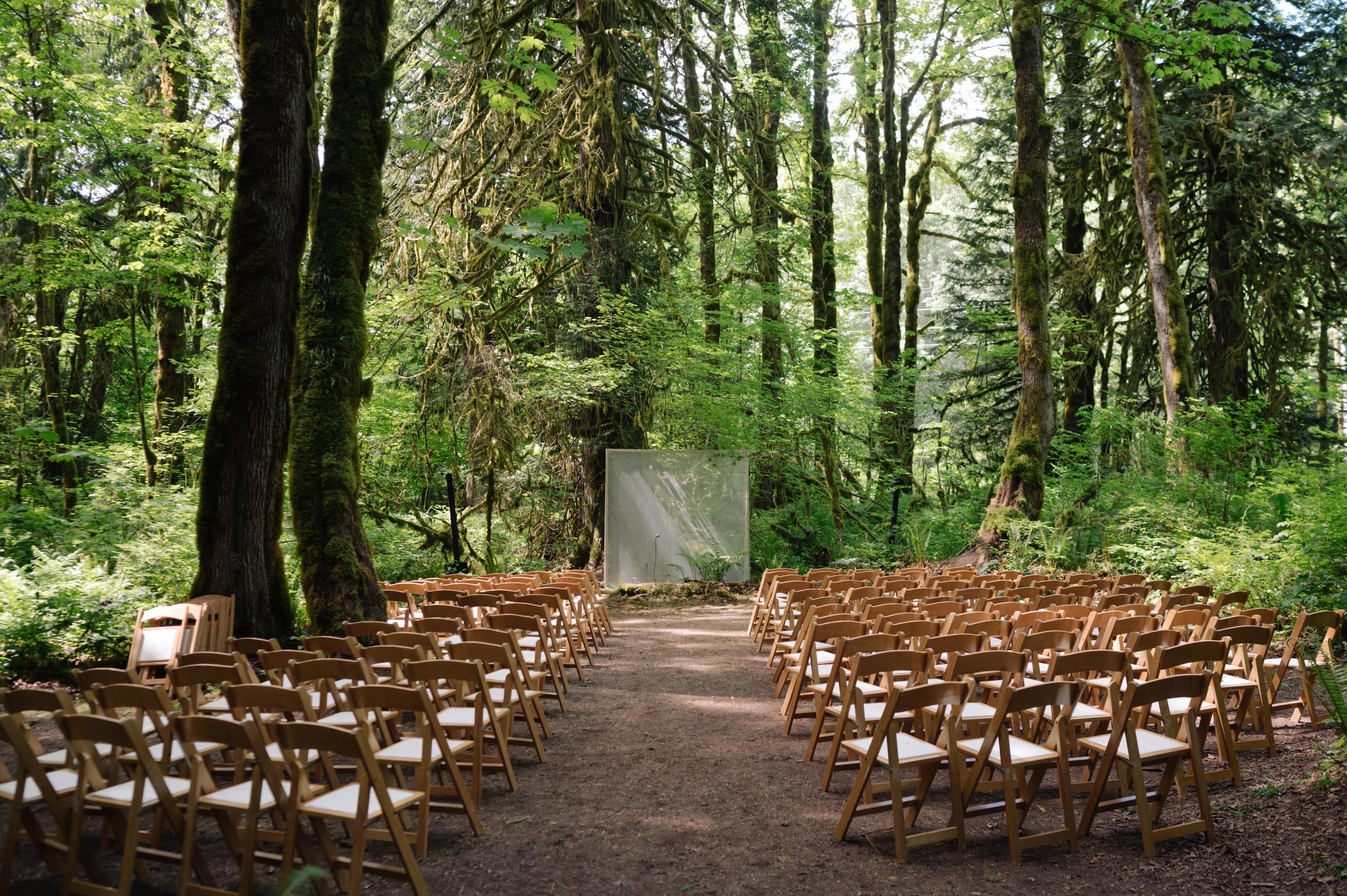 Wedding of Aaron and Nate - Photos by Tedi Jean