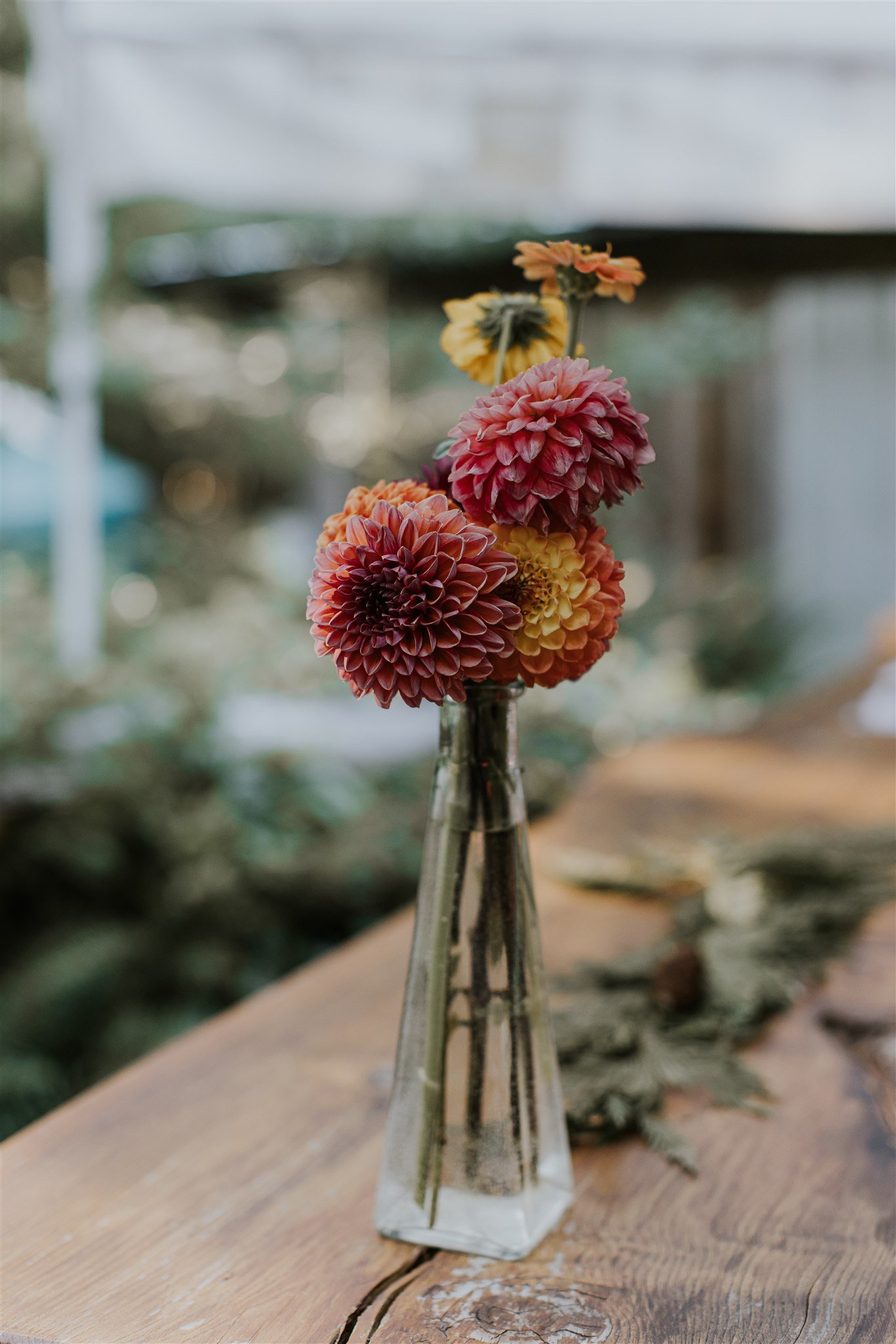 A glass vase holding a bouquet of pink, orange, and yellow dahlias on a wooden surface.