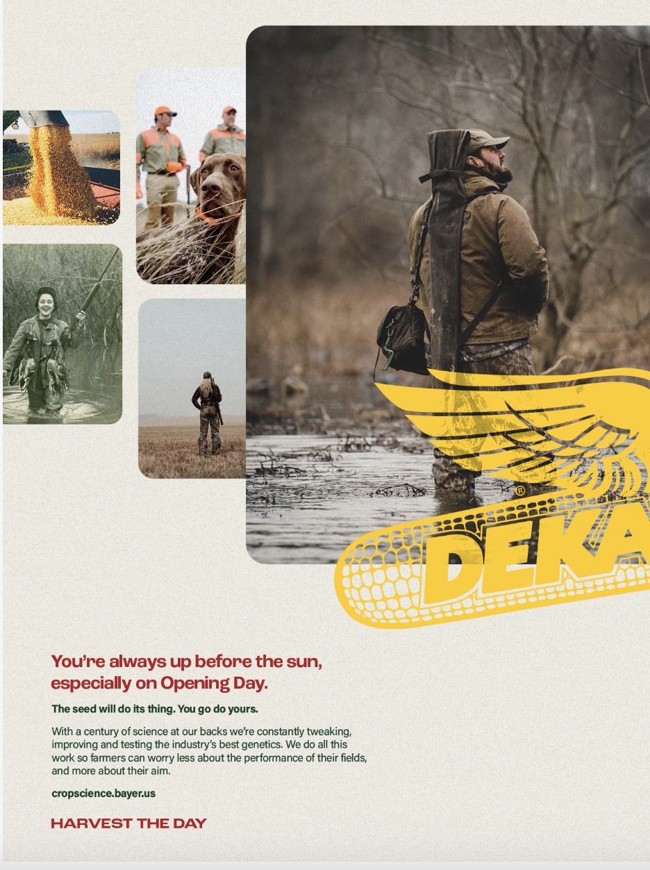 Screenshot 2025-09-06 at 12.15.30 PM.png