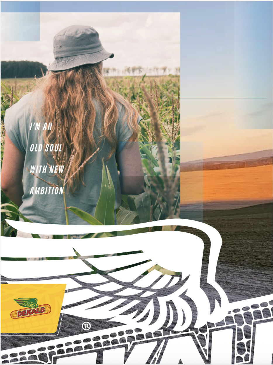 Screenshot 2025-09-06 at 12.18.55 PM.png