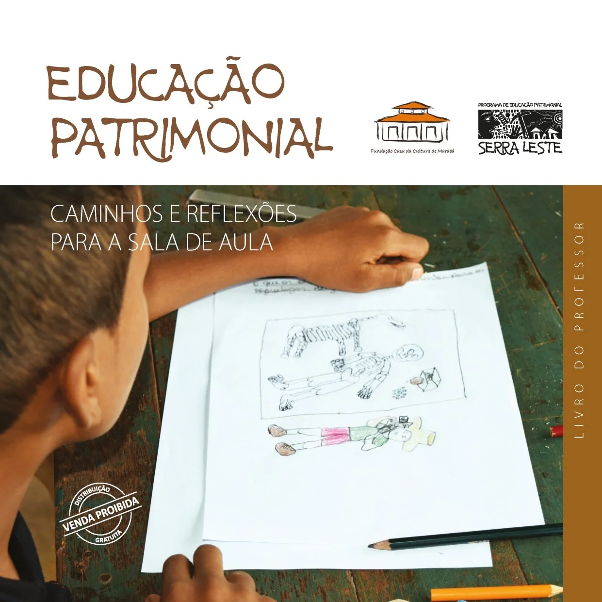 Educação Patrimonial: Caminhos e Reflexões para a Sala de Aula - Livro do Professor