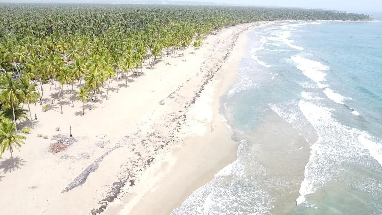 Vista aérea de una playa con palmeras y olas en el mar.