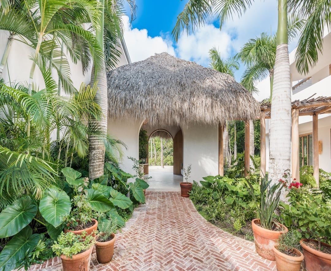 Entrada a un edificio con techo de palma, rodeada de plantas tropicales en macetas y enormes palmeras