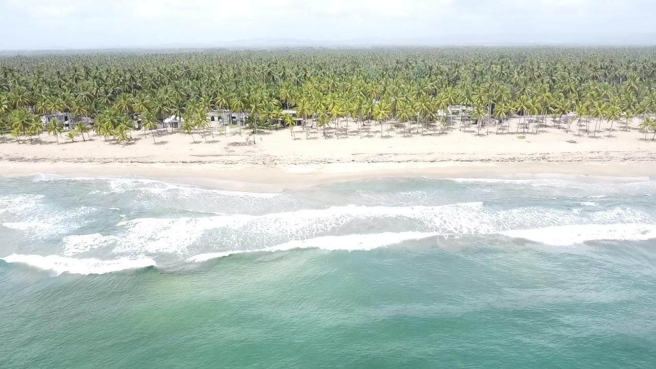 Vista aérea de una playa con olas suaves y una línea de palmeras verdes.