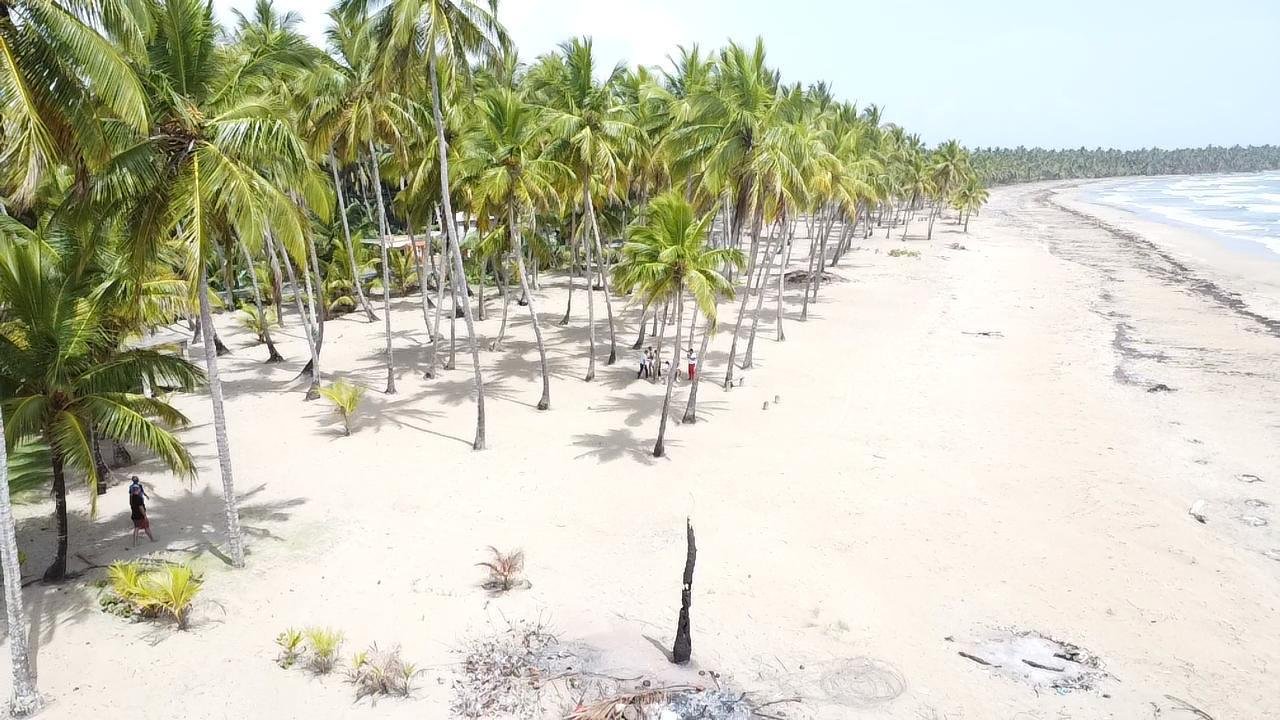 Playa de arena blanca con palmeras y pocas personas caminando, horizonte con más palmeras y el mar.