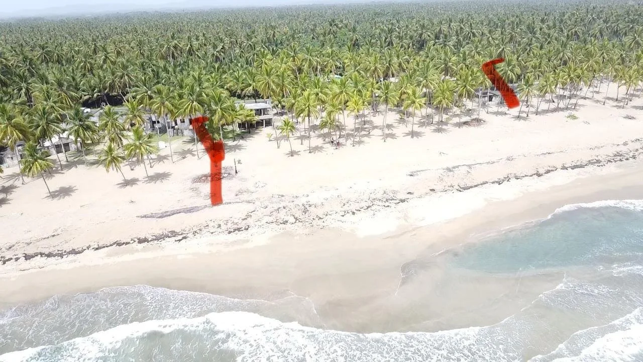 Vista aérea de una playa con palmeras y casas, con señales rojas marcando los caminos hacia las casas.