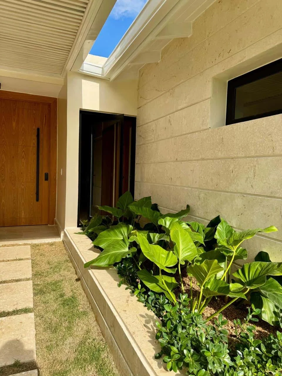 Jardín con plantas verdes junto a una pared de piedra y una ventana oscura, entrada con puerta de madera y un techo con ventanas de vidrio.