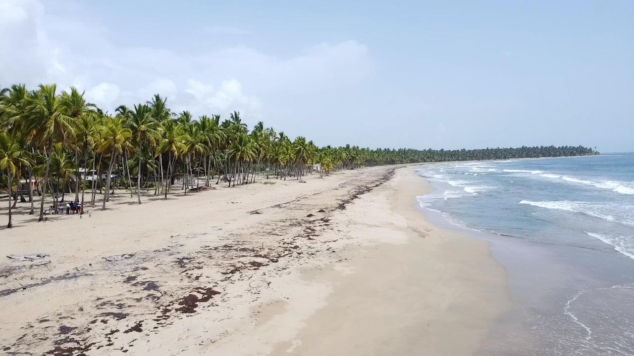 Playa con árboles de palmera y olas del mar en un día soleado.
