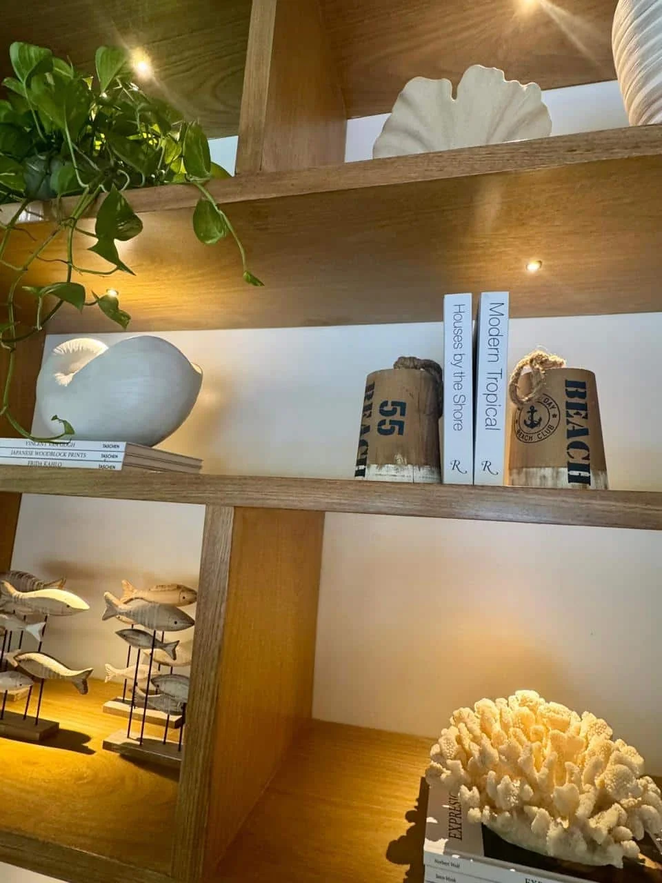 Estantería de madera con decoración marina y plantas verdes, libros y figuras de peces, con iluminación cálida.