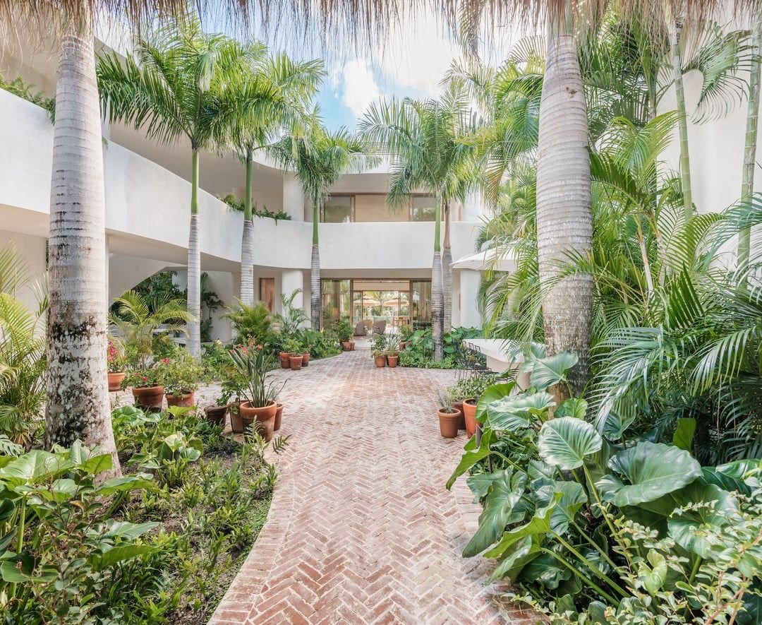 Pasillo interior con paredes blancas, rodeado de plantas verdes y palmeras en macetas de barro, con un techo de troncos y cielo visible