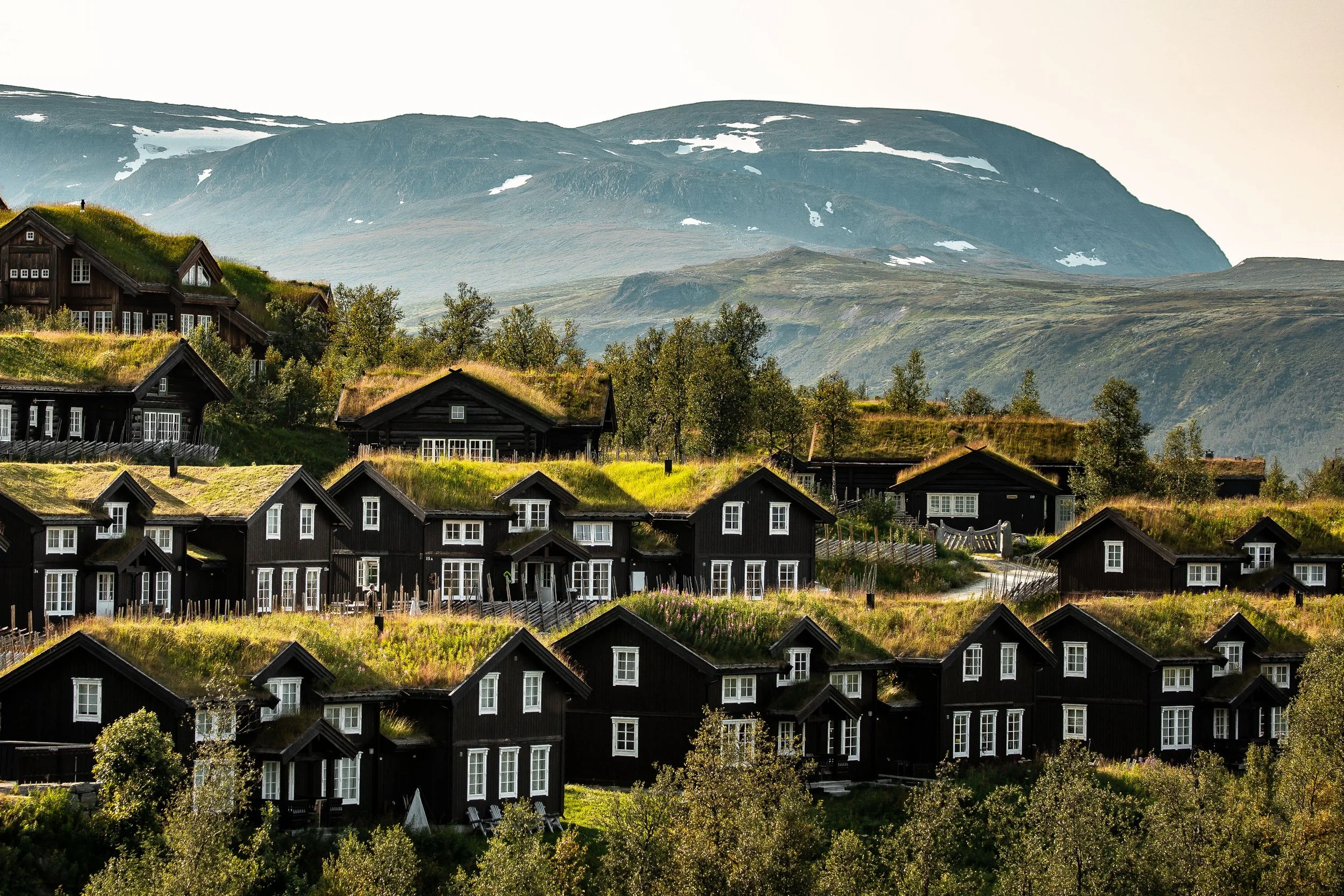 Buffet at Gaustablikk