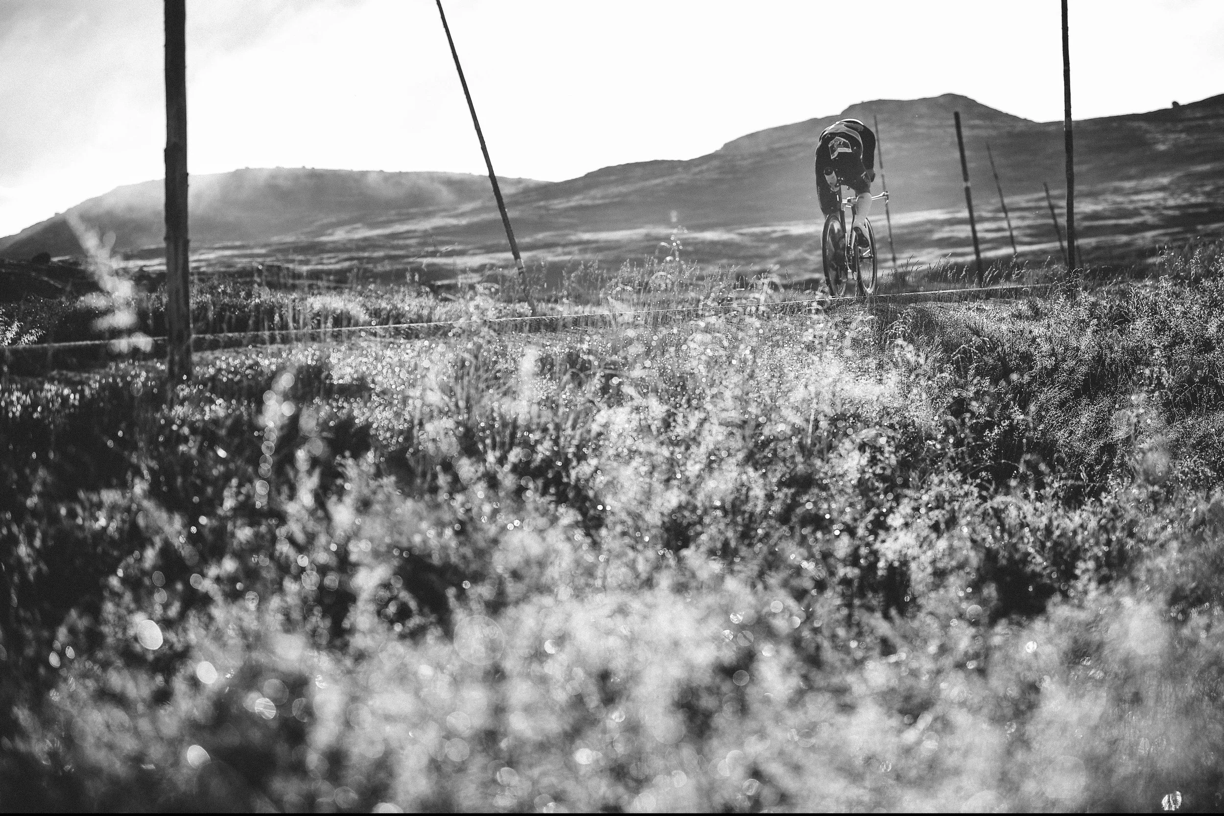 Record-high interest for Norseman Xtreme triathlon 2026 edition: