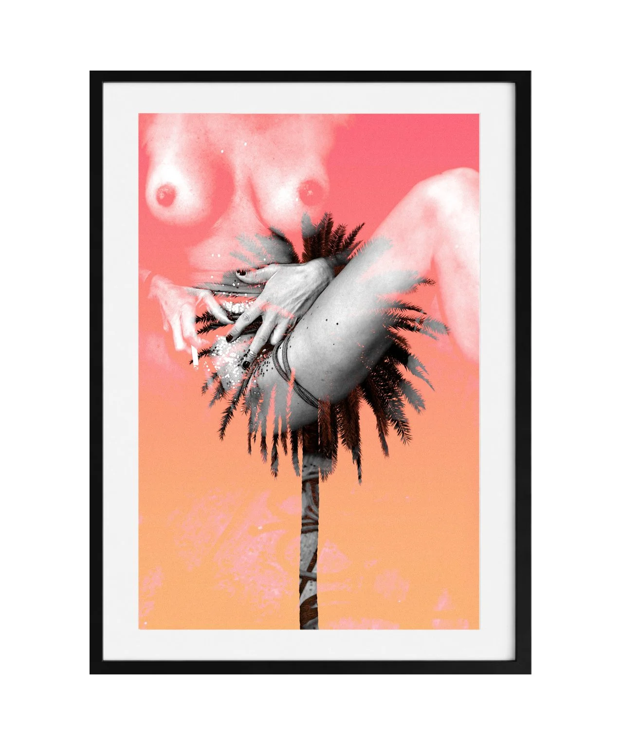 The Palmtree