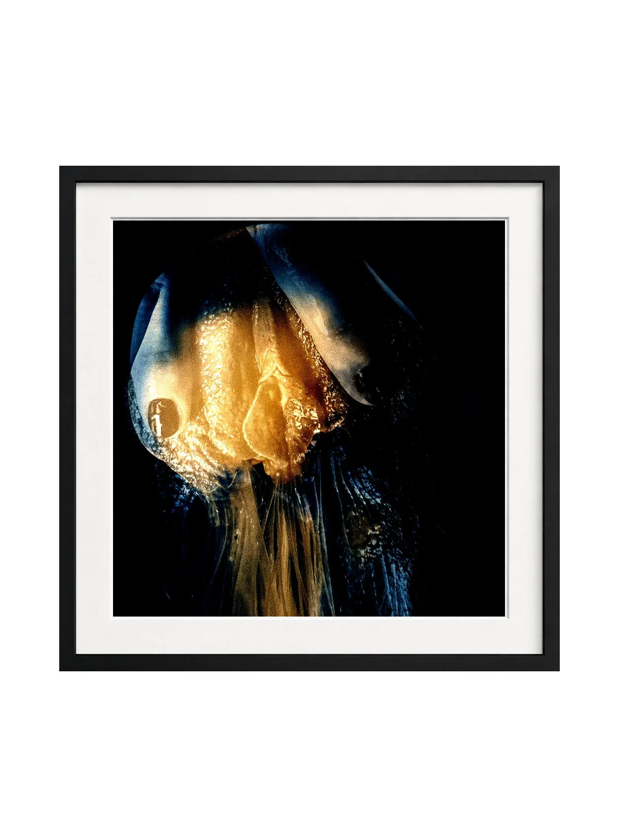 Gaia Ravel Underwater Tango.jpg